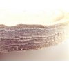 Leštící kotouč POČESANÉ MOLINO PHŠ na vysoký lesk 100x25 - otvor8mm MICRON MLKPMF100-2508PHS