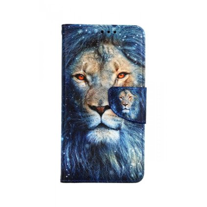 Flipové púzdro na iPhone 11 Čarovný lev