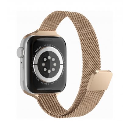 Oceľový remienok Watchband W034 pre Apple Watch 3-4-5-6-7-SE 42-44-45 mm zlatý