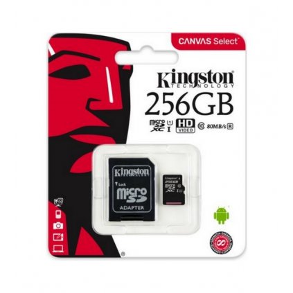 Pamäťová karta Kingston 256 GB Class 10