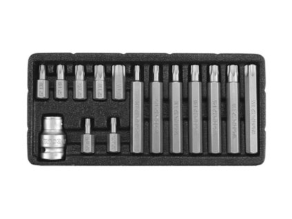 8411 sada bitu 15 ks torx s otvorem box