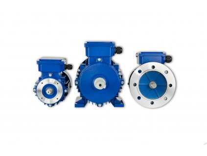 promotor MS elektromotor 2