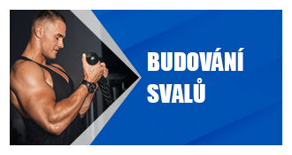 Budování svalů – sportovní výživa, aminokyseliny BCAA a proteiny pro maximální výkon