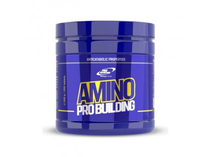 Amino Pro Building – vysoce účinné aminokyseliny pro stimulaci růstu svalů, ochranu svalové hmoty a rychlou regeneraci