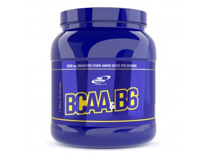 BCAA + B6 prášek – doplněk stravy s větvenými aminokyselinami pro růst svalů, regeneraci a podporu výkonu