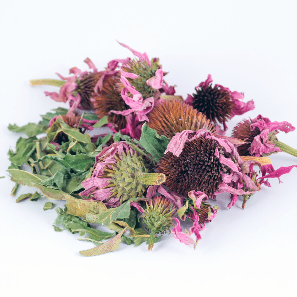 png_20221227_183448_0000-1024x1024