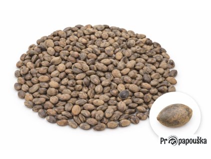 0c26810c 694d 466c a0ef 3d0fc8fd777d