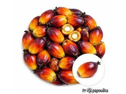 5ccbce15 4087 476f 9d5a 835ad04b9b32