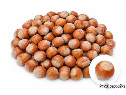 d2c34488 3fd4 4235 8d17 b719ed358d28