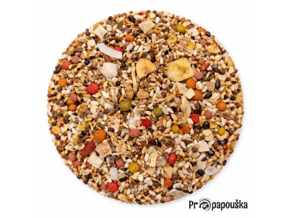 0a588bd8 af11 4dc9 9196 e96785f58059