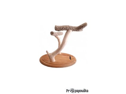 Messenger creation A5A2706C FEDB 4596 AEDF 9769B07348C7