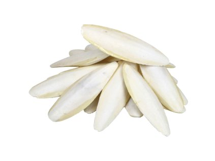 IMAGENES PAGINA WEB PAJAROS 39