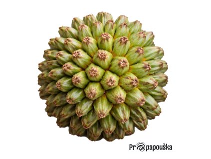 f5626fe3 9eed 4ff4 a5a5 ce2963a5b437