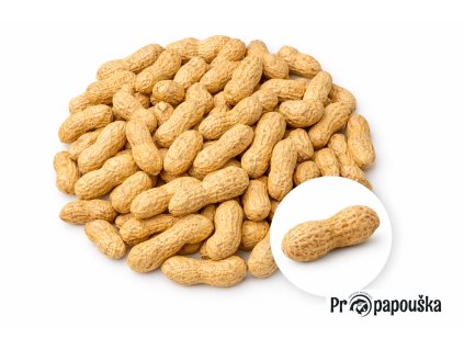 64bd7fbf b50a 492f bb1e 0387e1eca605