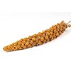 twig red millet white background 584546 4820