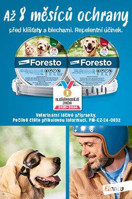 Foresto