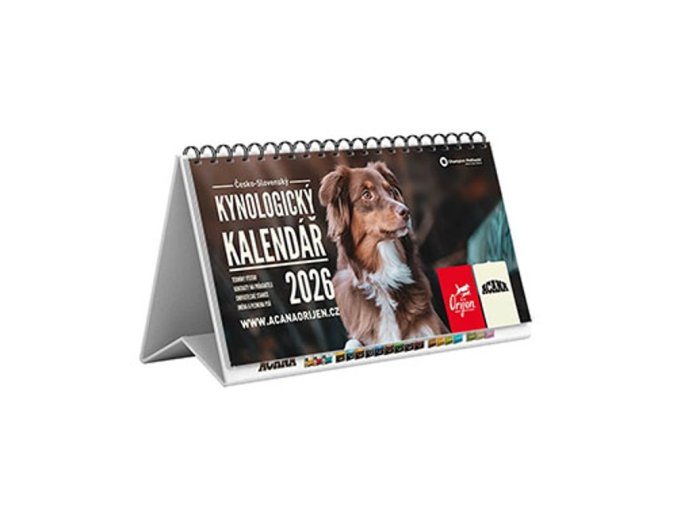 stažený soubor (1)