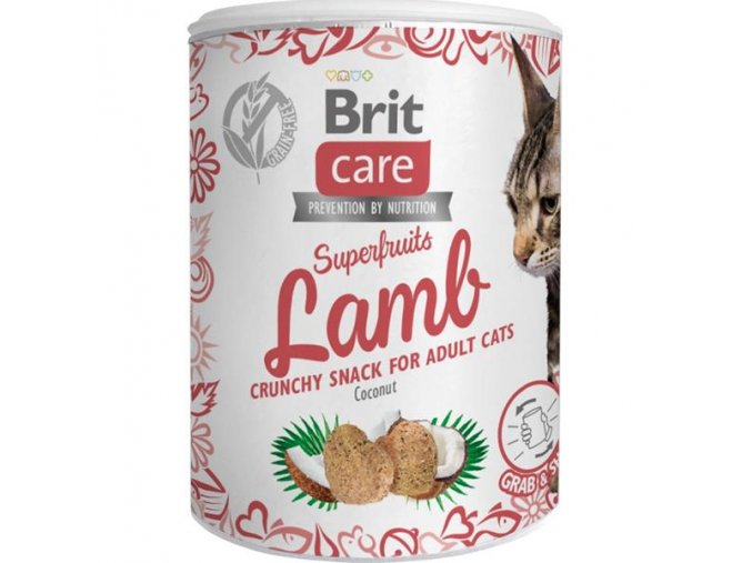 Brit Care Cat Snack Superfruits Lamb 100 g