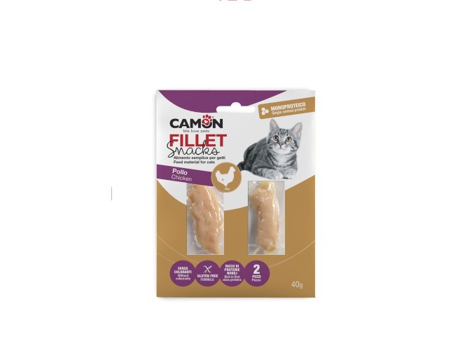 KUŘECÍ FILETY 2 ks 40 g