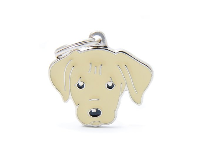 CREAM LABRADOR