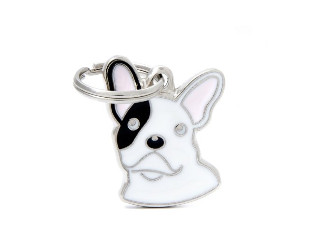 BLACK AND WHITE FRENCH BULLDOG