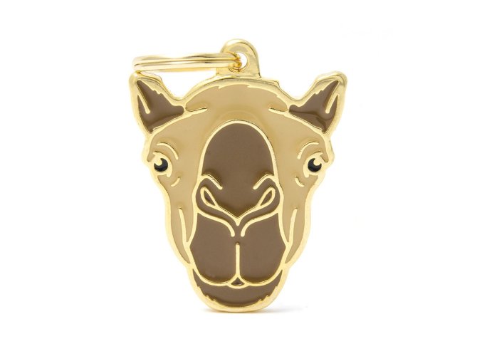 WILD CAMEL