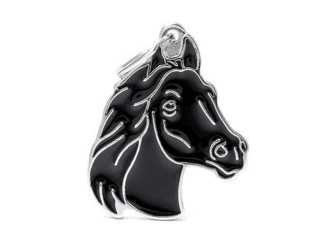 WILD BLACK HORSE