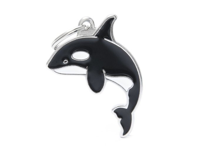 WILD KILLER WHALE
