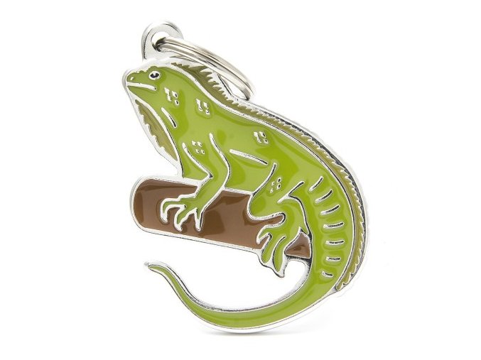 WILD IGUANA