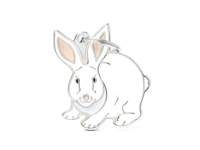 WILD RABBIT