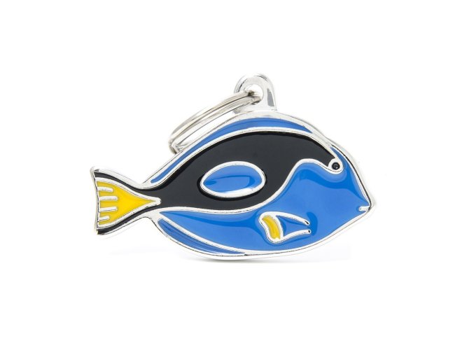 WILD SURGEONFISHES