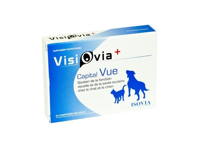 VET01954 1598614135