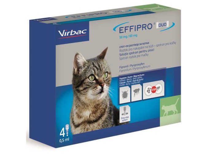 VET04221 1698070864