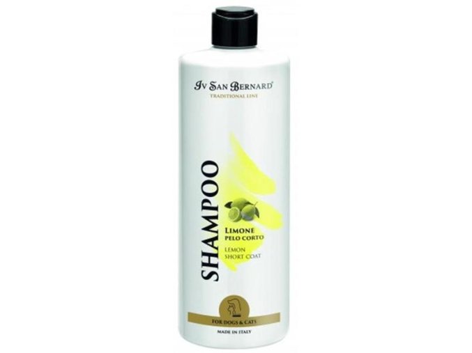 ZB018728 1686743500