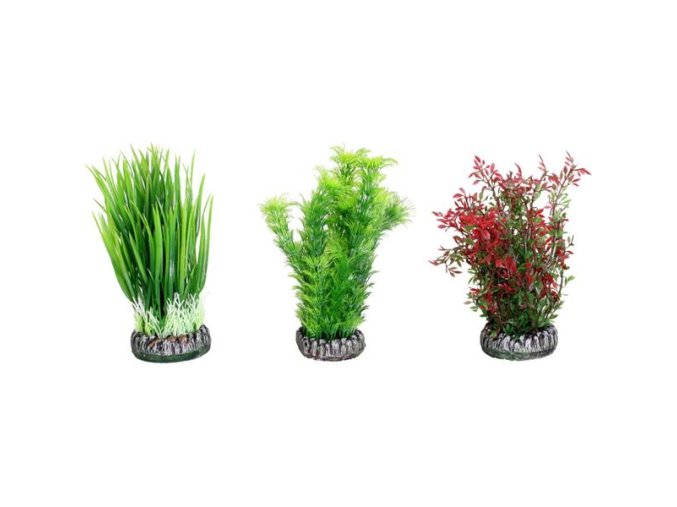 ZB023303 1707147074