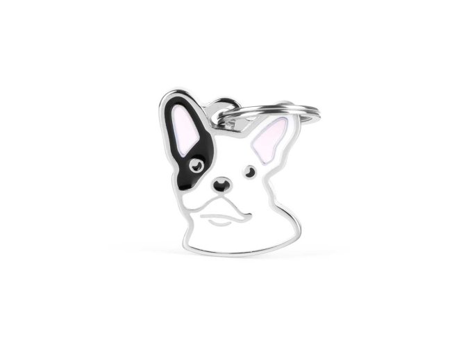 BLACK&WHITE FRENCH BULLDOG