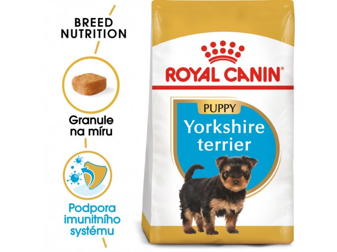 royal canin yorkshire terrier puppy