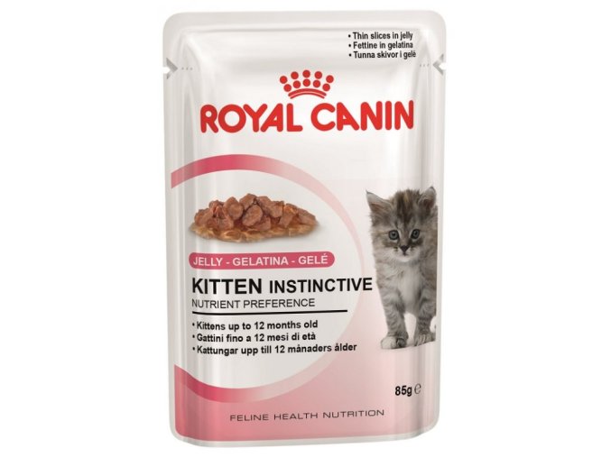 1254 kitten instinctive in jelly