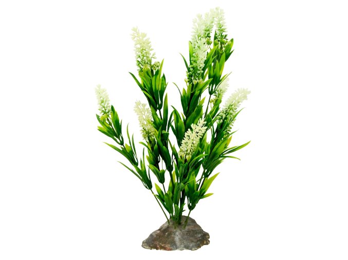 Trávy Lucky Reptile Borneo Grass, bílé květy cca 40 cm