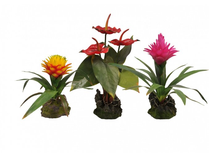 Lucky Reptile Jungle Plants kvetoucí Bromélie Guzmania - červená, cca 35 cm