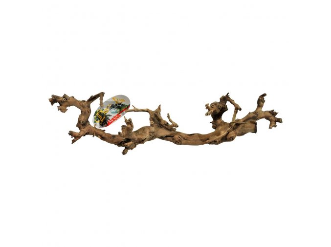 Lucky Reptile Grapevine S 30-45 cm