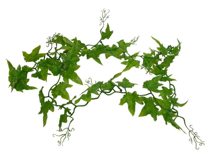 Lucky Reptile Jungle Vine Ivy Vine cca 200 cm