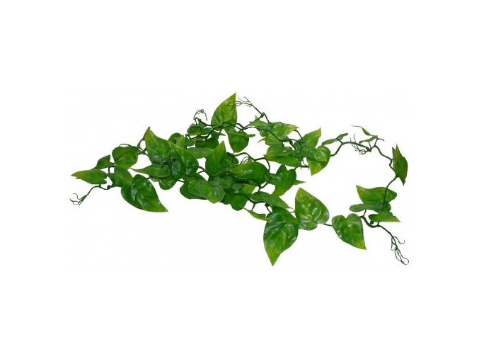 Lucky Reptile Jungle Vine Philo Vine cca 200 cm