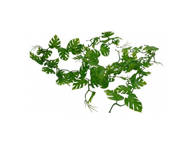 Lucky Reptile Jungle Vine Pothos Vine cca 200 cm