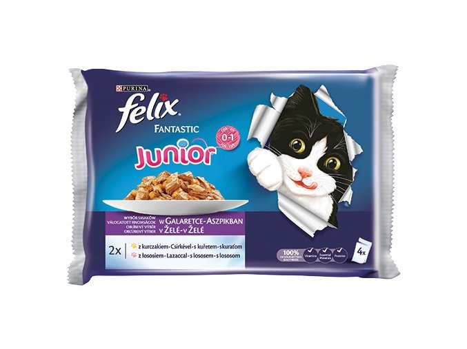 felix fantastic junior kure a losos 4