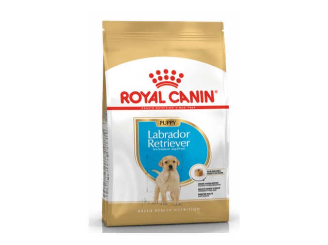 royal canin breed labrador junior