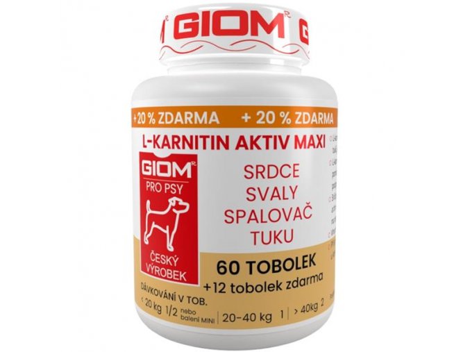 Giom ERA L-karnitin Aktiv MAXI 60 tbl+20%zdarma