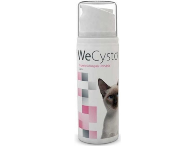 WeCysto 100 ml - podpora močov.ústrojí