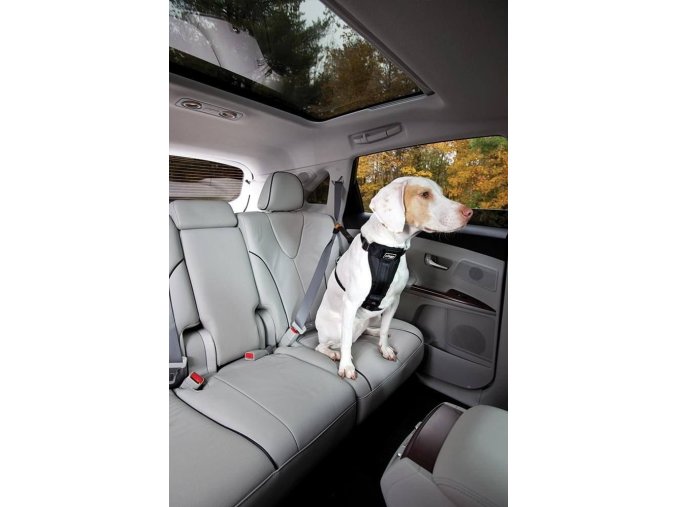 Kurgo Bezpečnostní pás pro psa do auta Seatbelt Tether černý