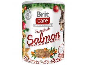 Brit Care Cat Snack Christmas Superfruits 100 g